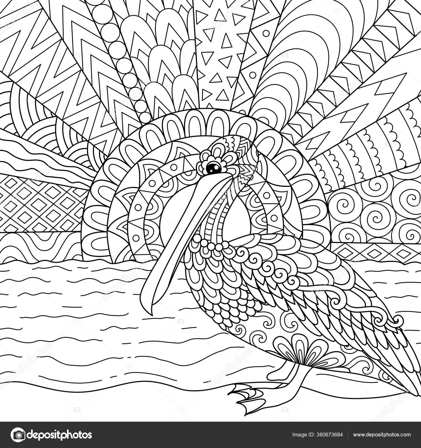 Line art design pelican bird florida state usa printing products stock vector by somjaicindygmail