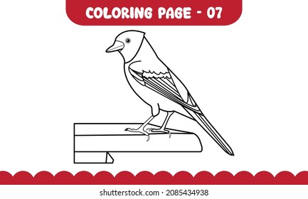 Bird coloring pages outline kids activity stock vector royalty free