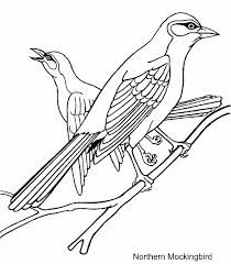 Florida state bird drawing