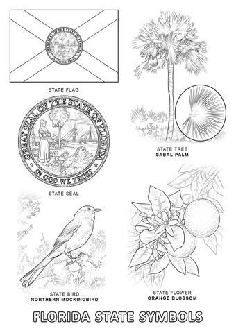 Florida state symbols coloring page from florida category select from printable crafts of cartoonsâ flag coloring pages state symbols bird coloring pages