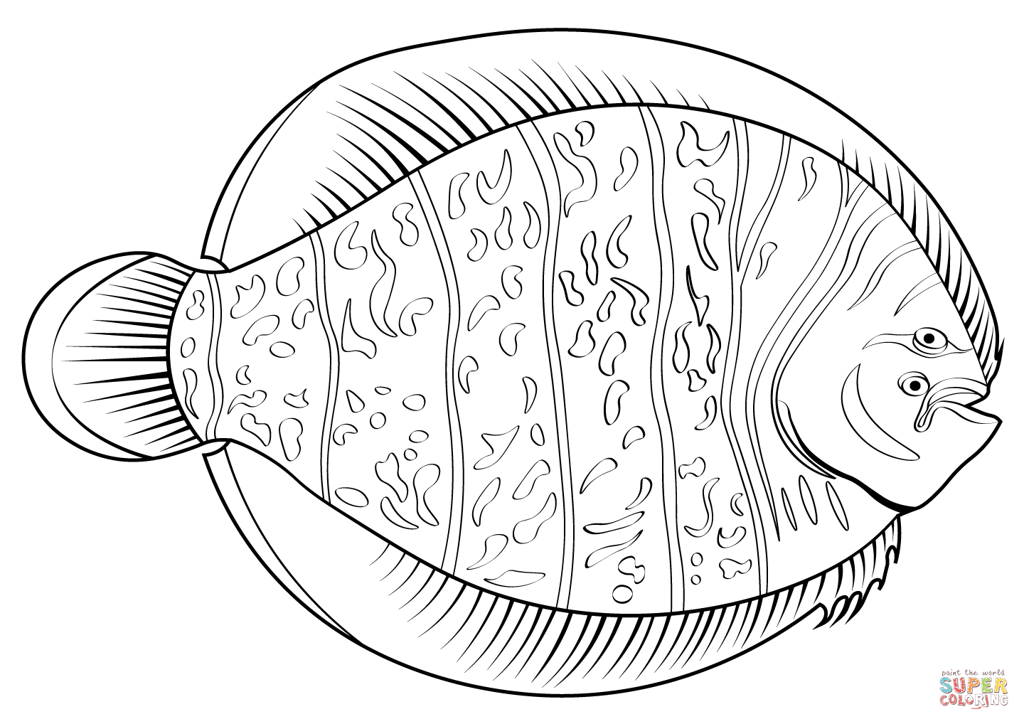 Summer flounder achirus lineatus coloring page free printable coloring pages