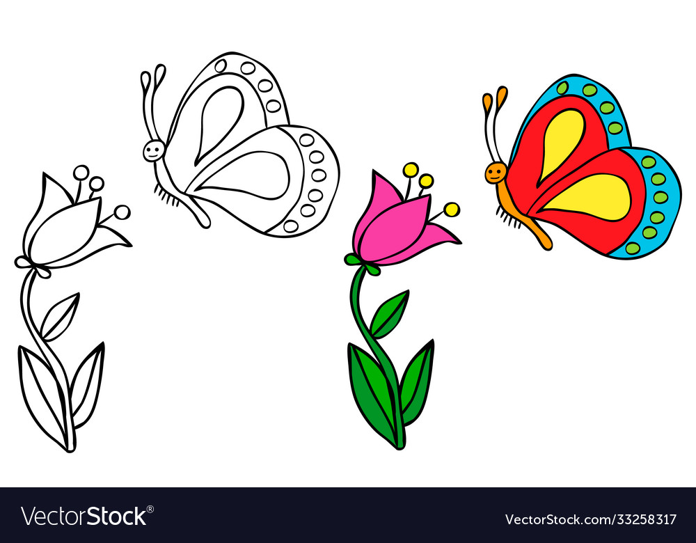 Flower and butterfly coloring book royalty free vector image