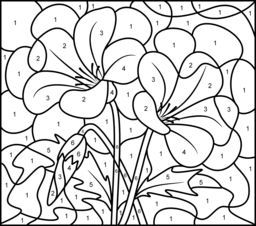 Hard colors by numbers printable campanula