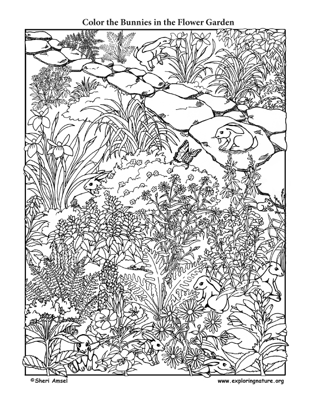 Bunnies in the flower garden
