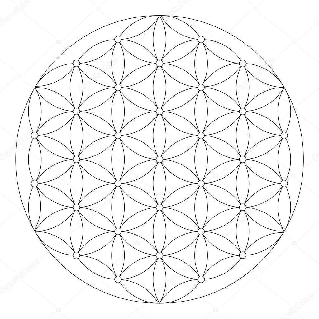 Flower of life symbol coloring page stock illustration by smk