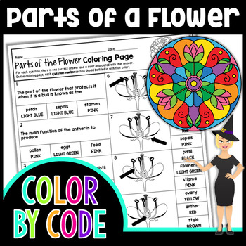 Parts of a flower and reproduction color by number science color by number