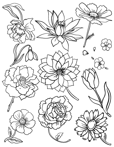 Free flower coloring page