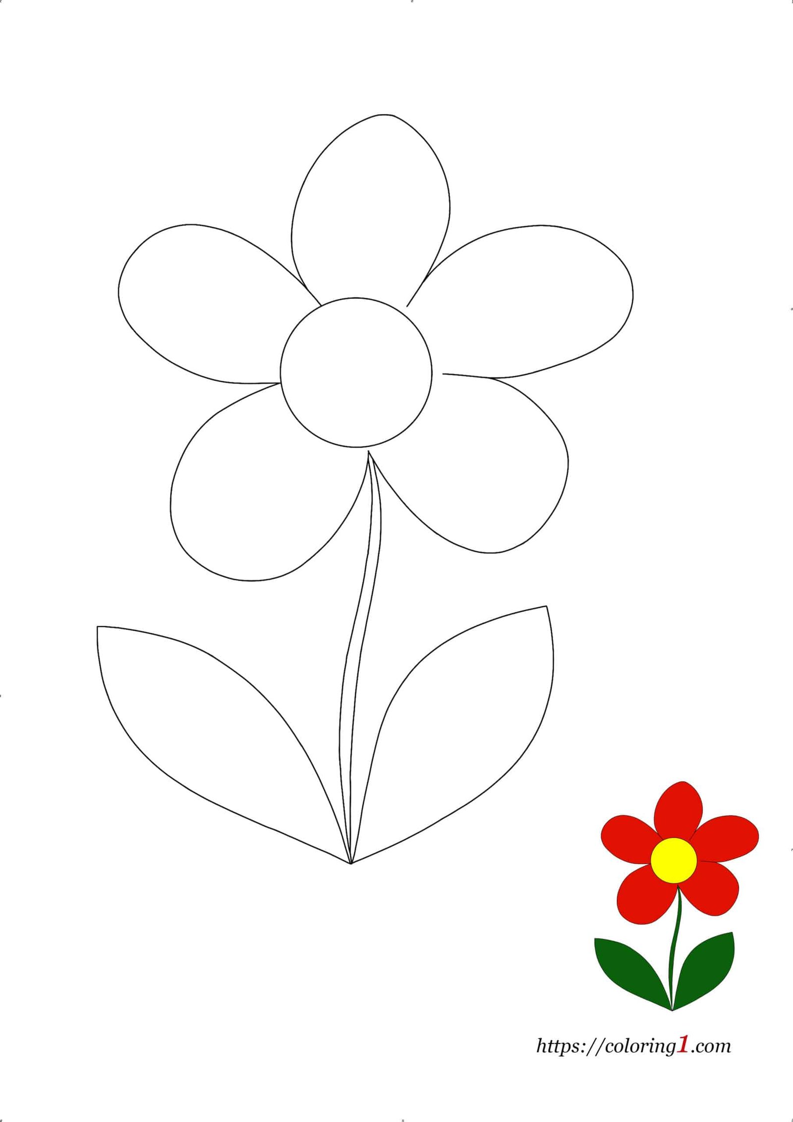 Petals flower coloring pages