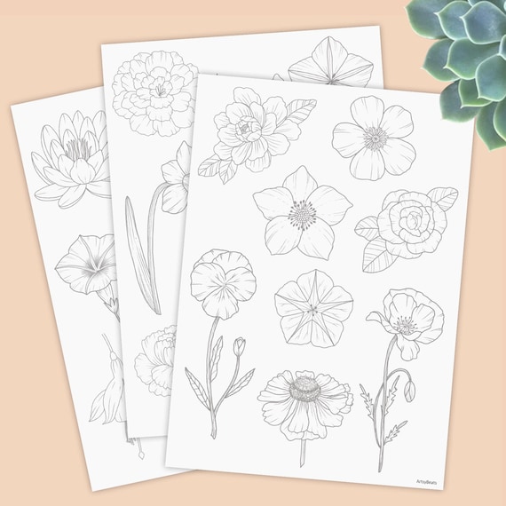 Learn to draw flowers tracing guides coloring pages printable worksheet digital download marigold lotus pansy poppy daisy and more download now