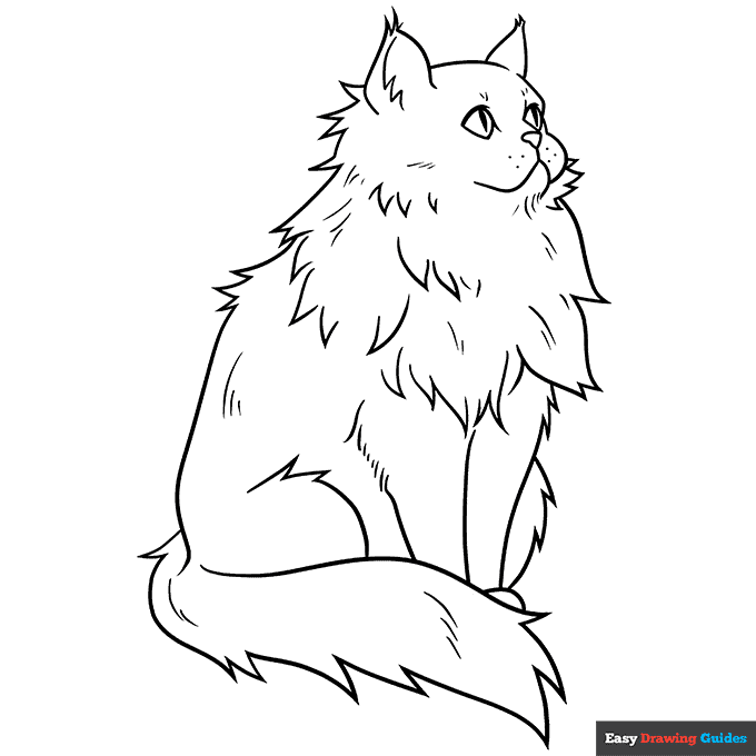 Fluffy persian cat coloring page easy drawing guides