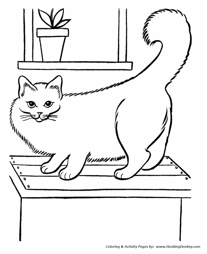 Pet cat coloring pages big fluffy pet cat coloring pages and activity sheets for pre
