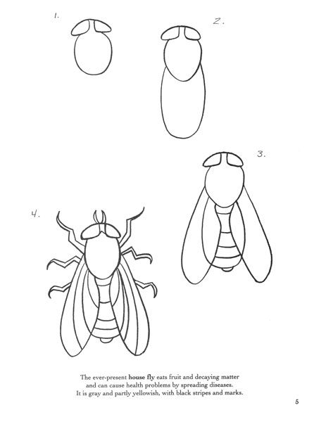 How to draw a fly art drawings sketches simple tangle art anime drawings sketches