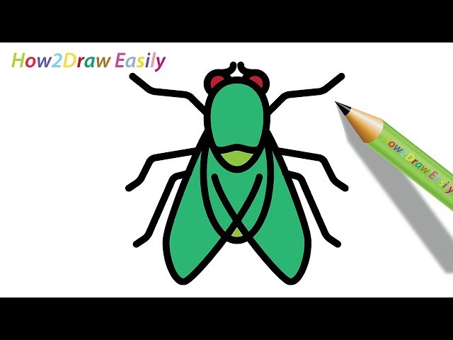 How to draw a fly easy drawing