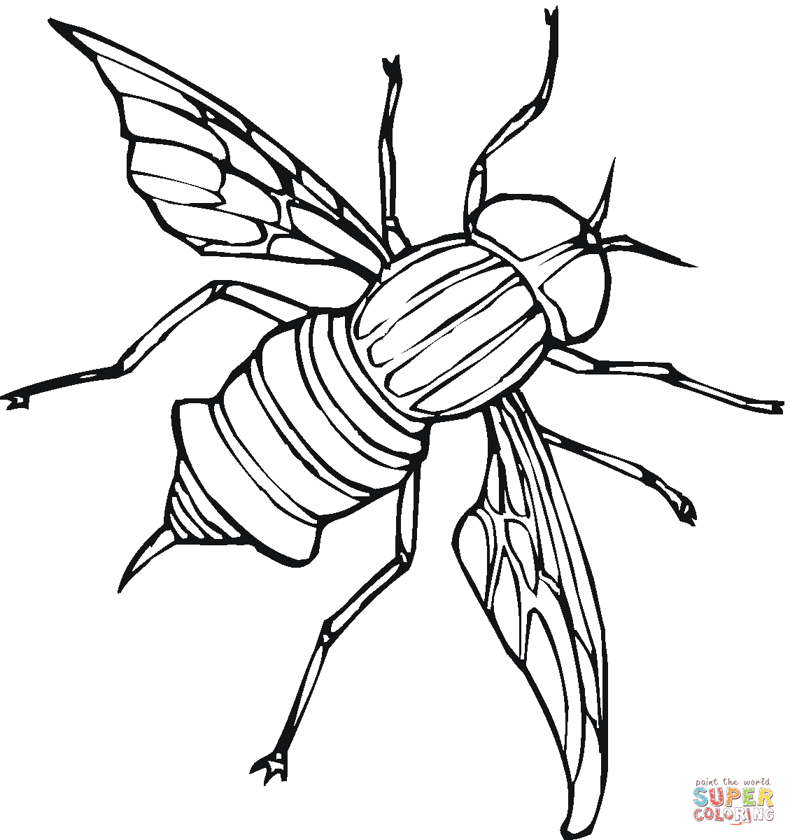Fly coloring page free printable coloring pages