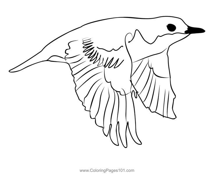Dipper coloring page coloring pages color printable coloring pages