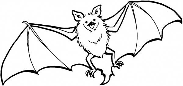 Bats flying coloring page color luna bat coloring pages halloween coloring pages animal coloring pages