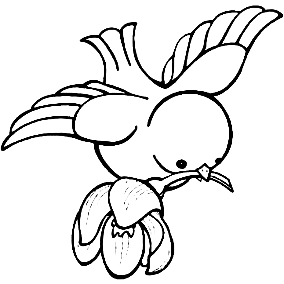 Bird pages â printable pages