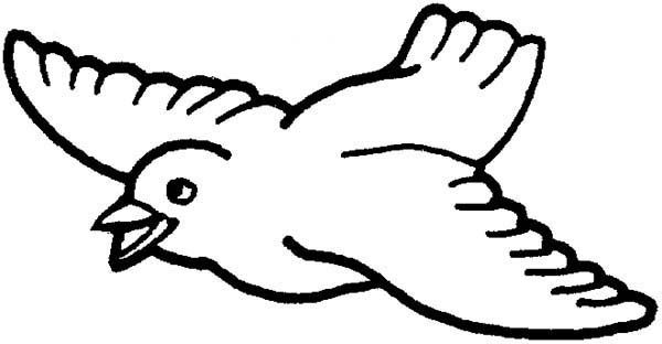 Bird flying like an airplane coloring page bird coloring pages coloring pages insect coloring pages