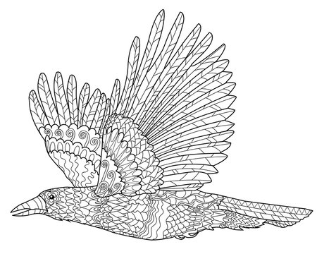 Adult coloring flying birds images â browse photos vectors and video