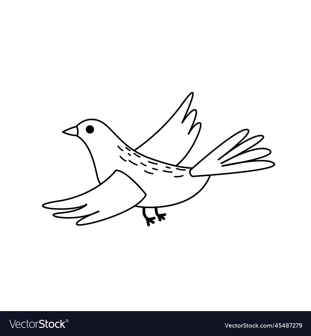 Flying bird coloring page black and white vector image