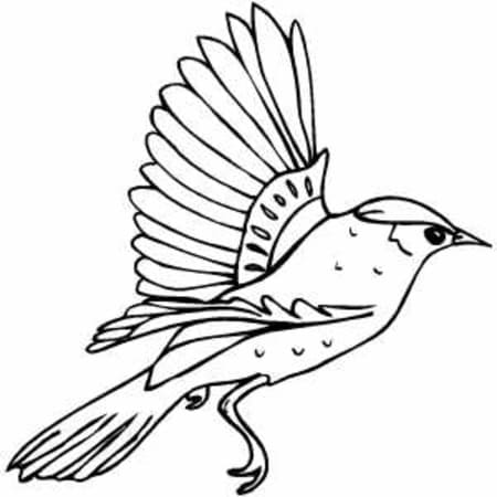 A flying bird coloring page