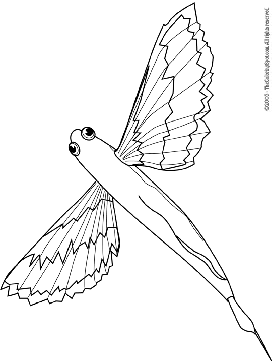 Flying fish coloring page audio stories for kids free coloring pages colouring printables