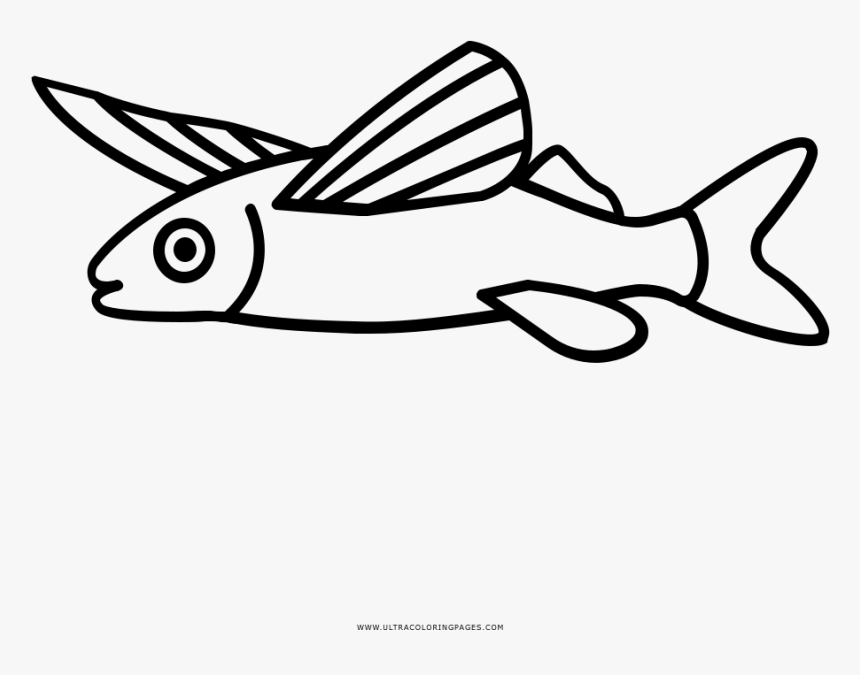 Flying fish coloring page