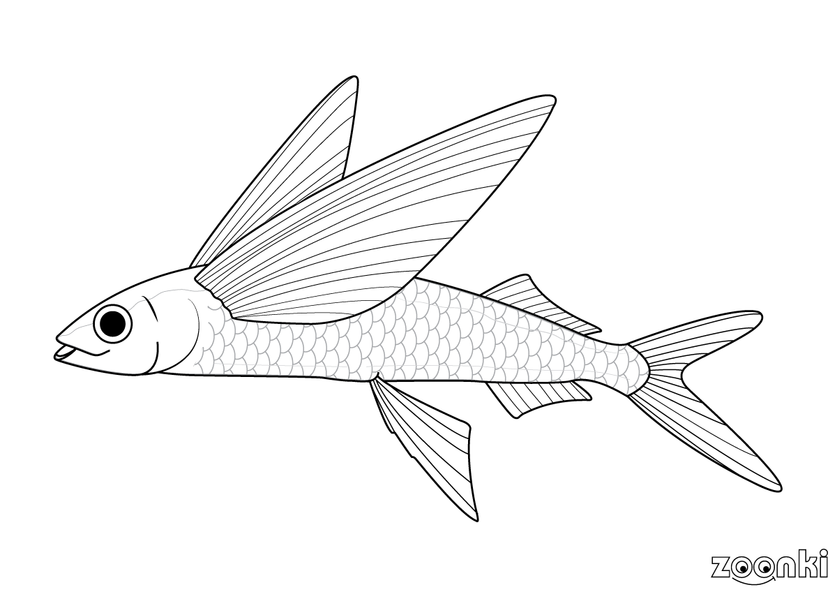 Fish colouring pages for kids