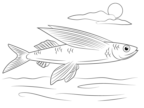 Flying fish coloring page free printable coloring pages