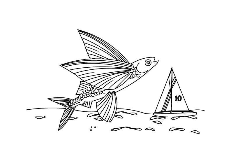 Coloring pages