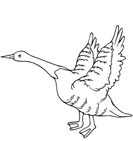 Goose fly away coloring page free printable coloring pages