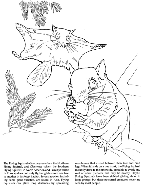Wele to dover publications