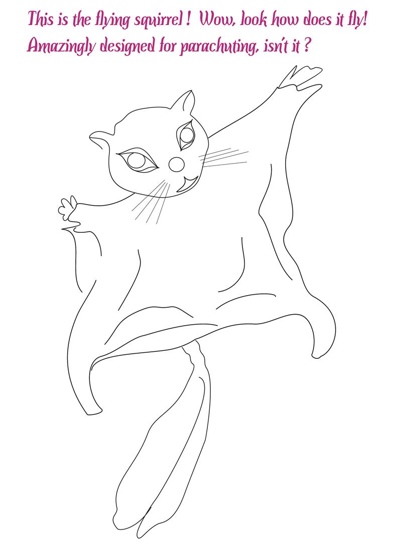 Flying squirrel coloring pages