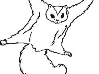 Best squirrel coloring pages for kids