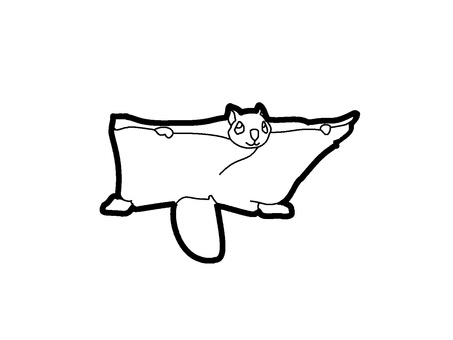 Free vectors flying squirrel coloring page