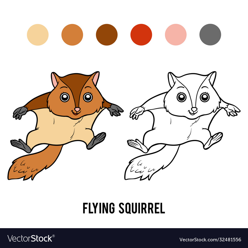 Coloring book flying squirrel royalty free vector image