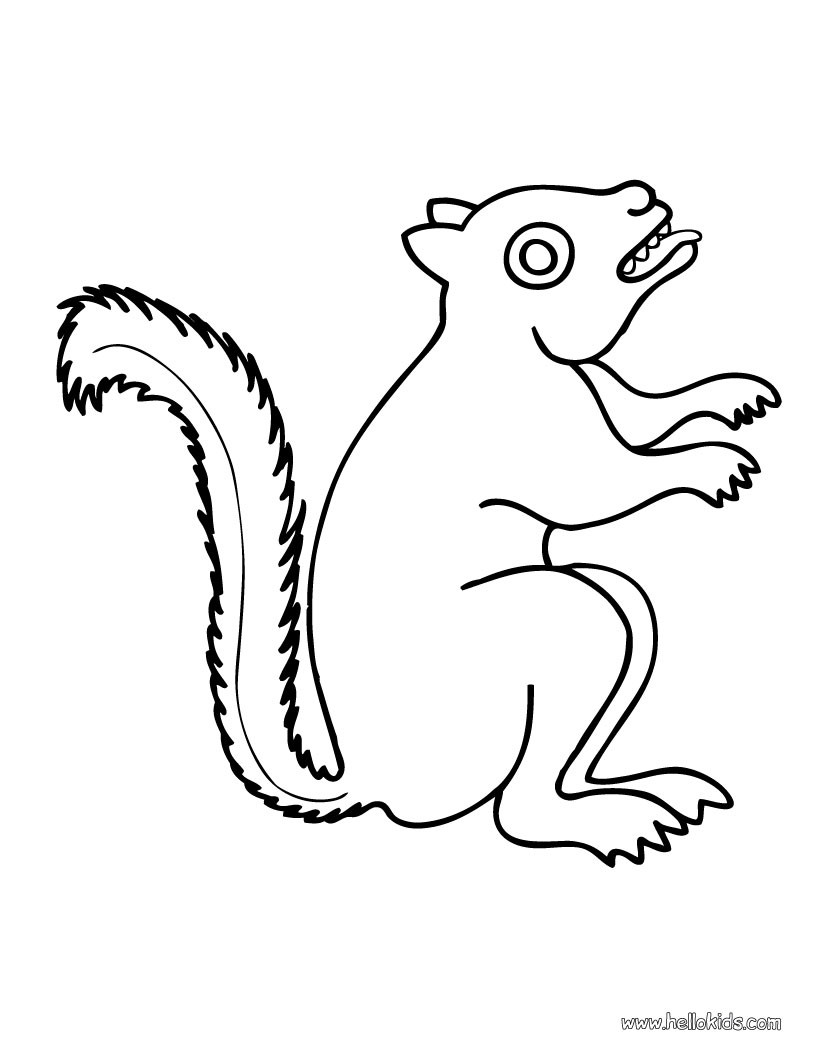 Squirrel coloring pages