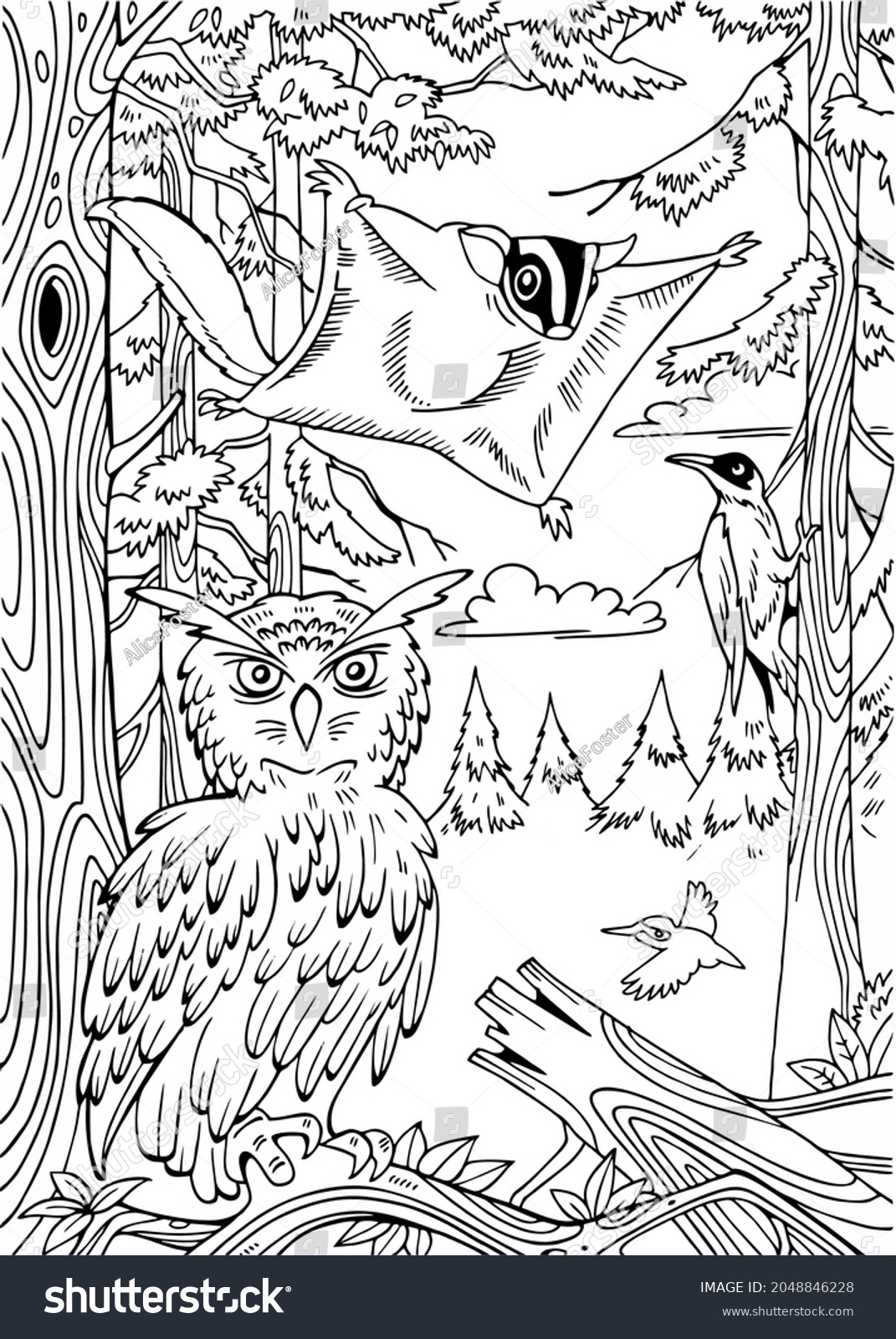 Coloring birds owl flying squirrel forest stock vector royalty free