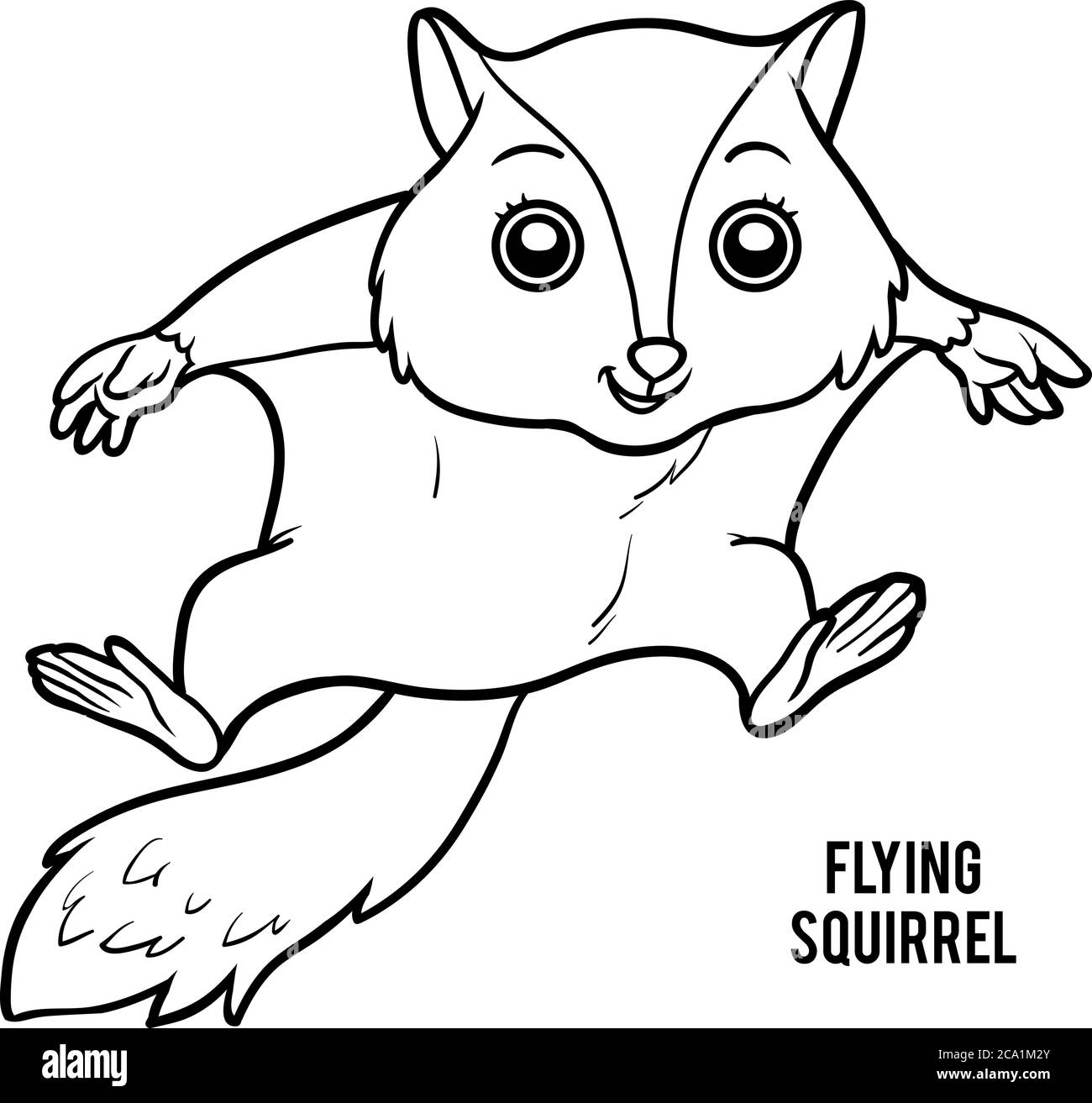 Coloring book for children flying squirrel stock vector image art