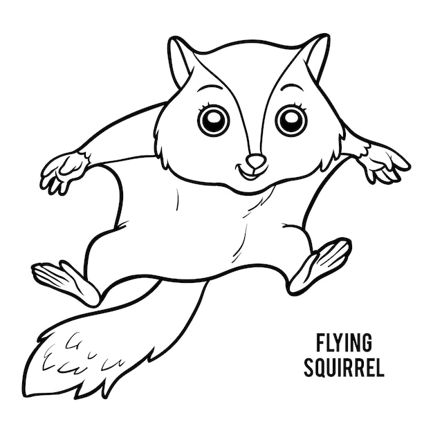 Premium vector coloring book for children flying squirrel