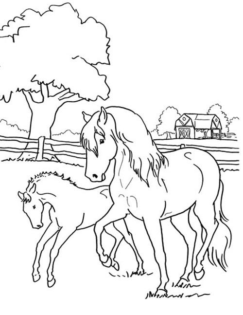 Mare and foal coloring page
