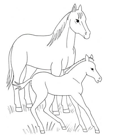 Horse and foal coloring page free printable coloring pages