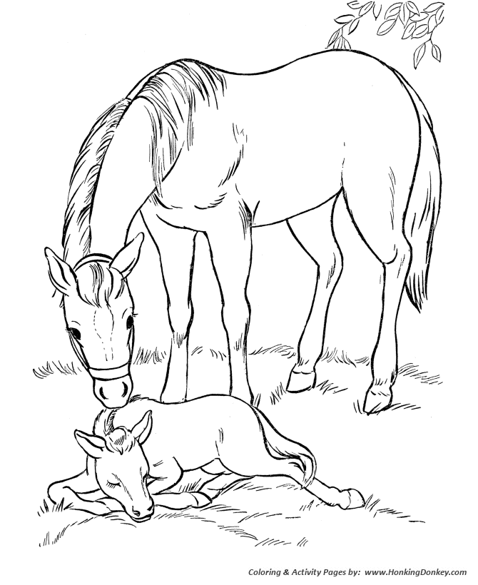 Horse coloring pages printable mare and her sleeping foal coloring page