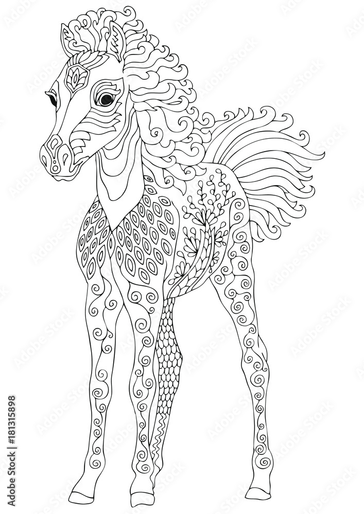 Foal hand drawn horse sketch for anti