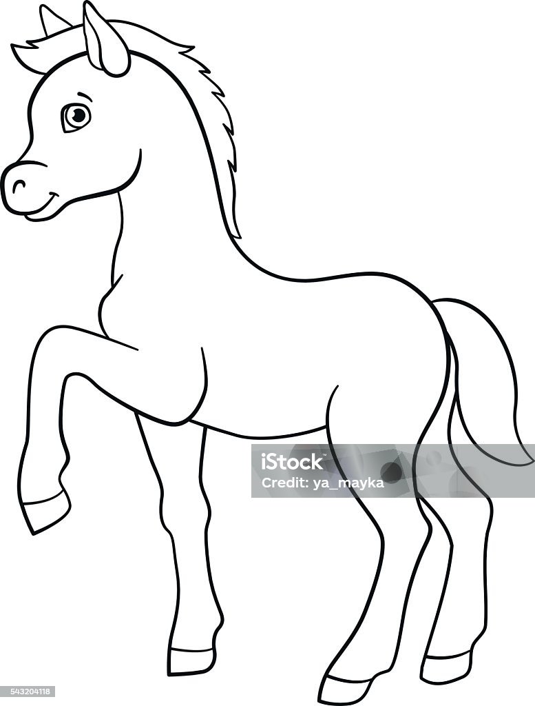 Coloring pages farm animals little cute foal stock illustration