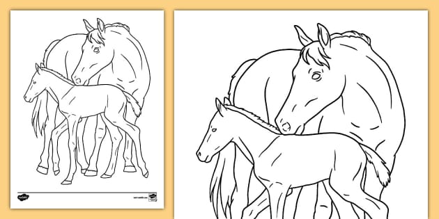 Mother and baby horse coloring sheet resource usa