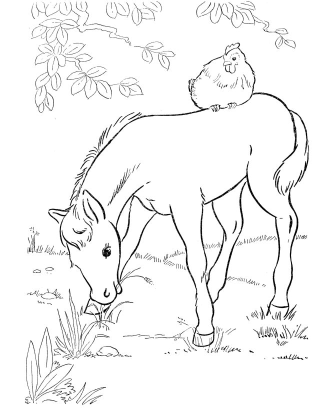 Horse coloring pages printable foal eating grass coloring page horse coloring pages animal coloring pages horse coloring