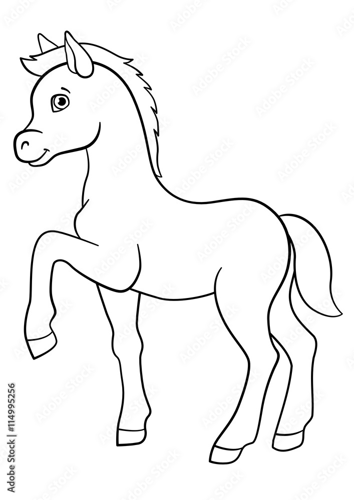 Coloring pages farm animals little cute foal vector