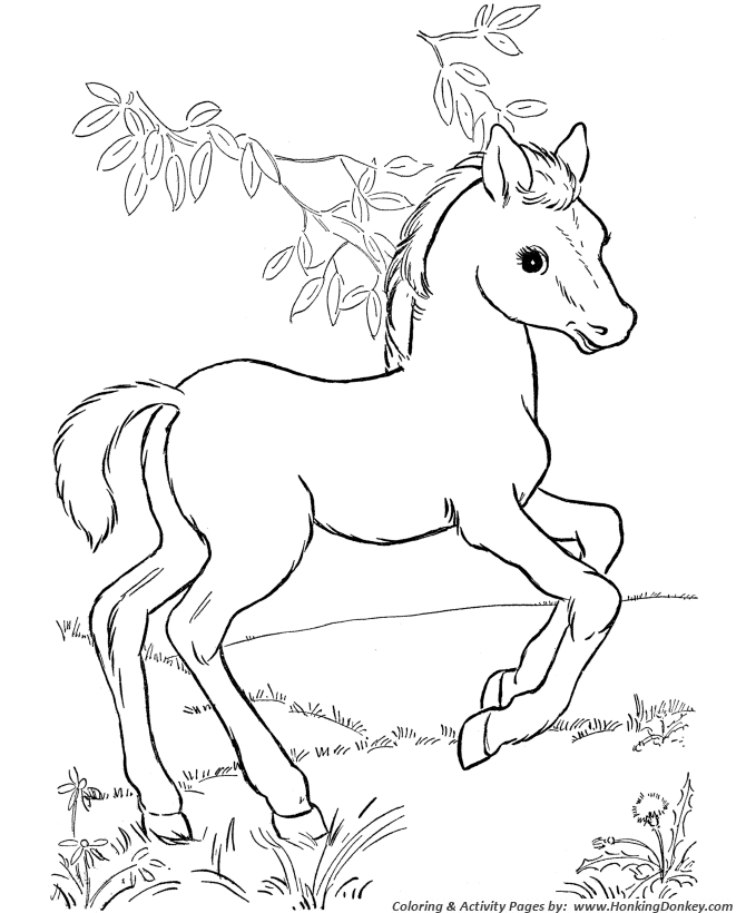 Horse coloring pages printable horses and foal coloring page