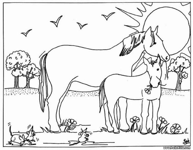Mare and foal coloring pages